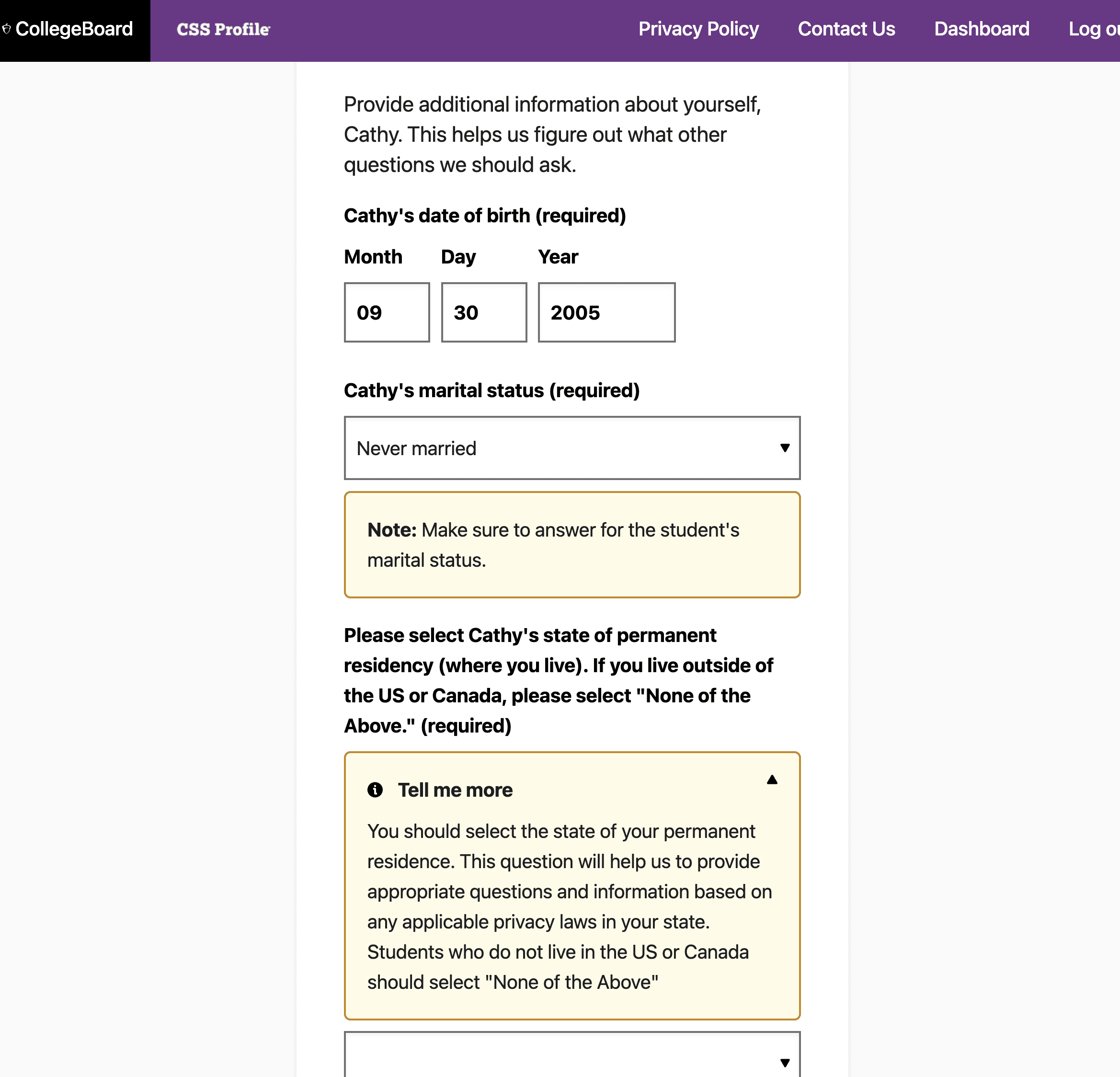 CSS Profile Screen Shot of yellow hints and help